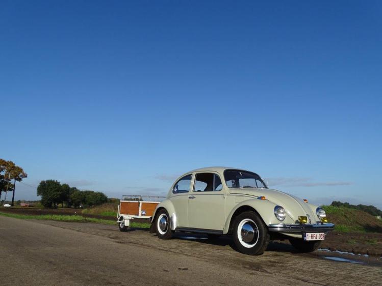 BUG WORKS,vw,���,�r�[�g��,1968,�^�C�v�P